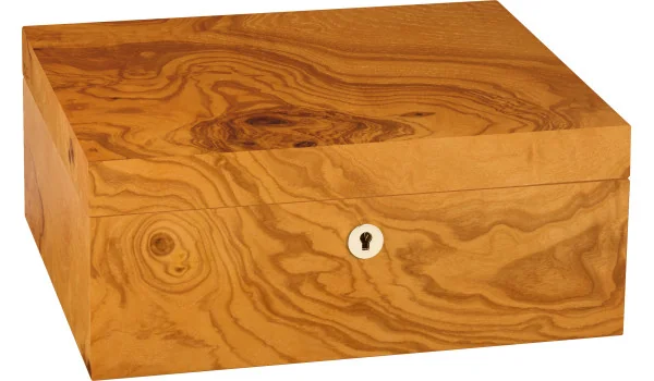 adorini Humidor Salento Oilve Burl Wood Medium Deluxe