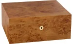 adorini Humidor Catania Elm Burl Medium Deluxe